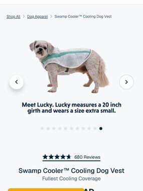 NWT. RuffWear Swamp Cooler Cooling Dog Vest in Sage Green. Size XXS.